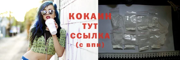 прущий лед Армянск
