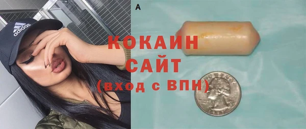 ГАЛЛЮЦИНОГЕННЫЕ ГРИБЫ Аркадак