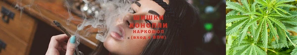 ГАЛЛЮЦИНОГЕННЫЕ ГРИБЫ Аркадак
