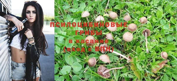 герыч Арсеньев