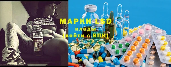ГАЛЛЮЦИНОГЕННЫЕ ГРИБЫ Аркадак
